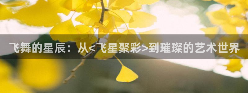 J9九游,apk.：飞舞的星辰：从<飞星聚彩>到璀璨的艺术世界